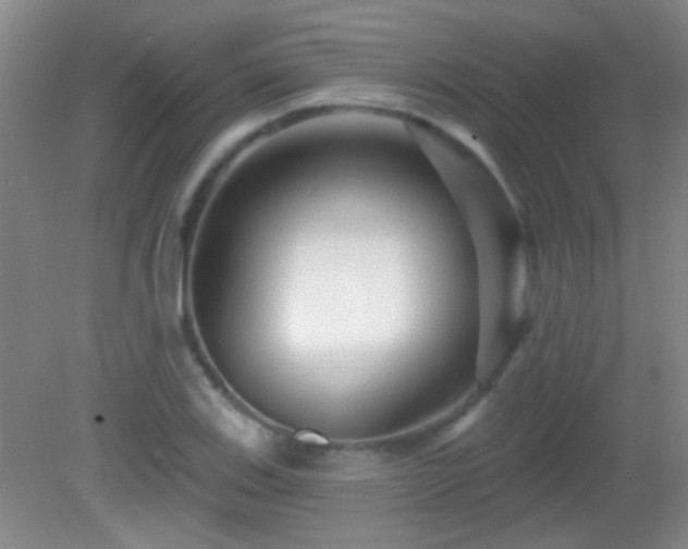 X0000082931123200702011233