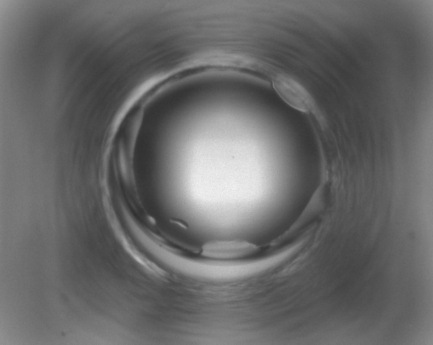 X0000082931128200702011233