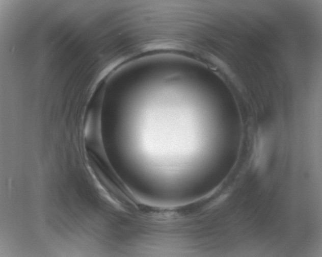 X0000082931129200702011233