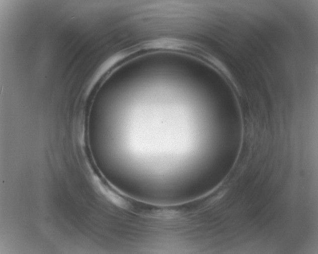 X0000082931131200702011233