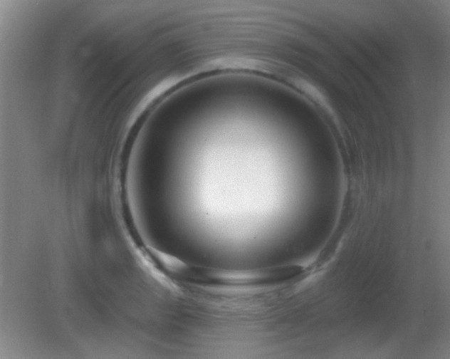 X0000082931133200702011233
