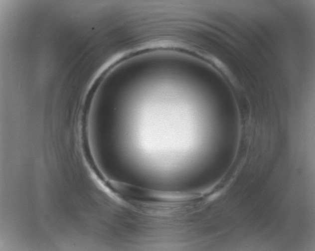 X0000082931134200702011233