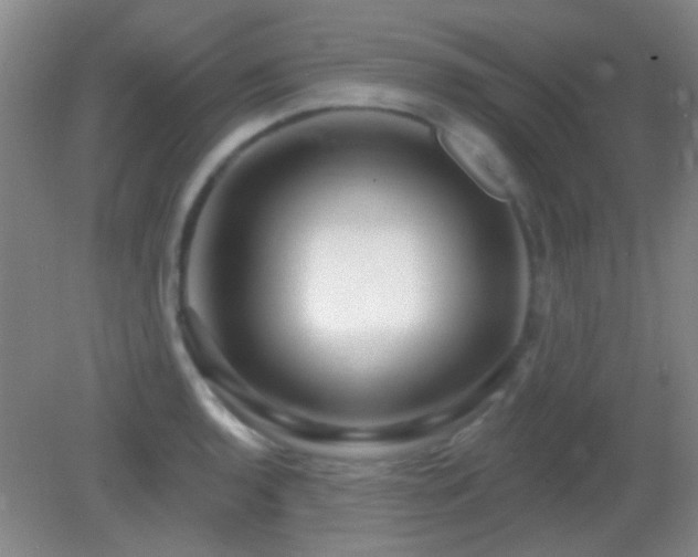 X0000082931136200702011233