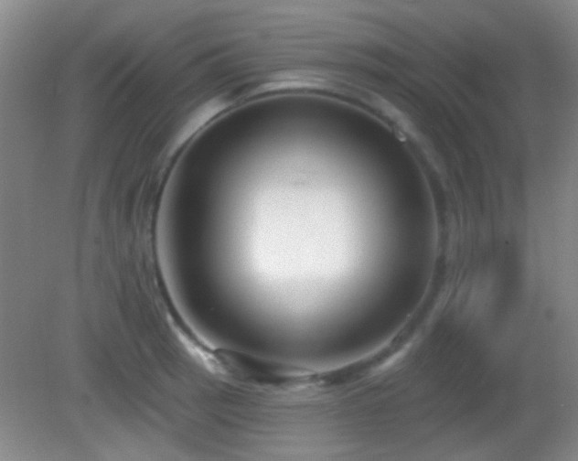 X0000082931137200702011233