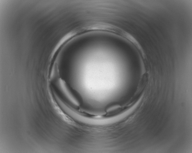 X0000082931138200702011233