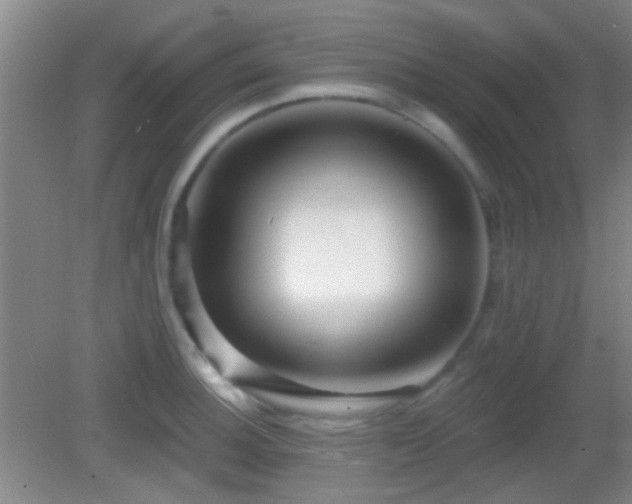 X0000082931140200702011233