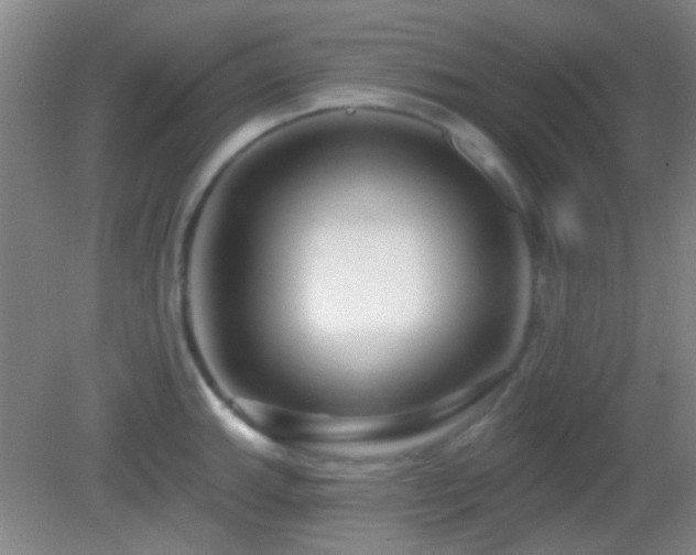 X0000082931143200702011233