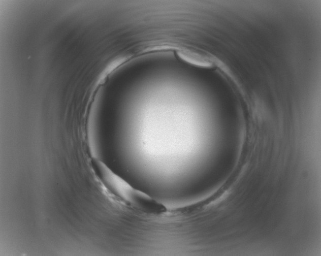 X0000082931145200702011233