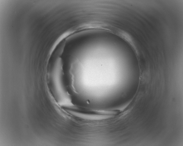 X0000082931146200702011233