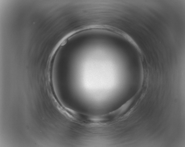 X0000082931148200702011233