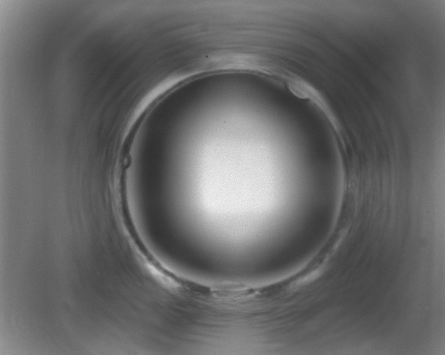 X0000082931149200702011233