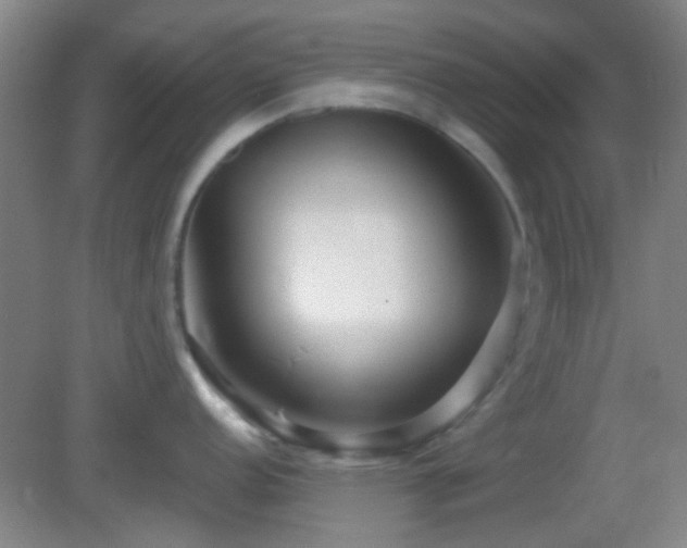X0000082931152200702011233