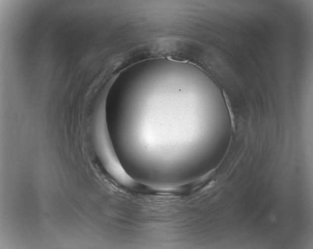 X0000082931153200702011232