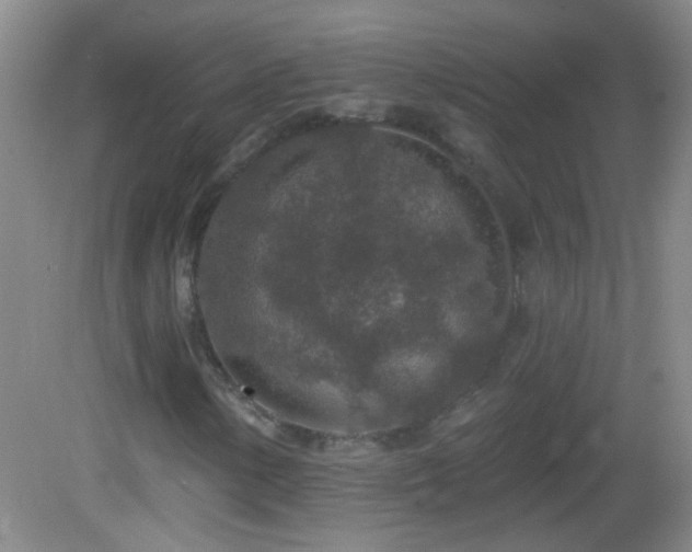X0000082931154200702011232