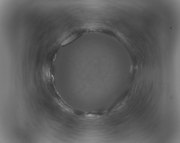 X0000082931155200702011232