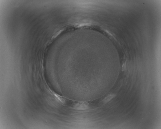 X0000082931156200702011232