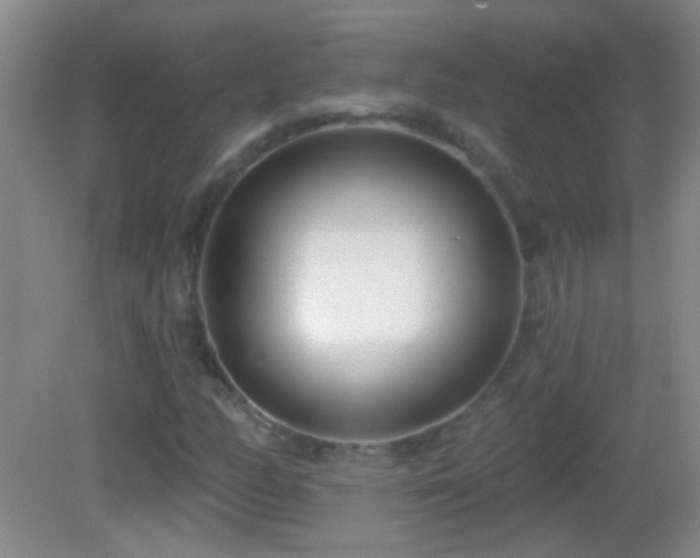 X0000082931158200702011232