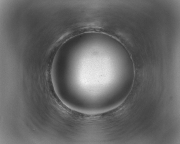 X0000082931159200702011232