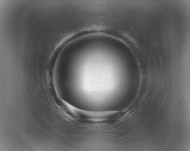 X0000082931160200702011232