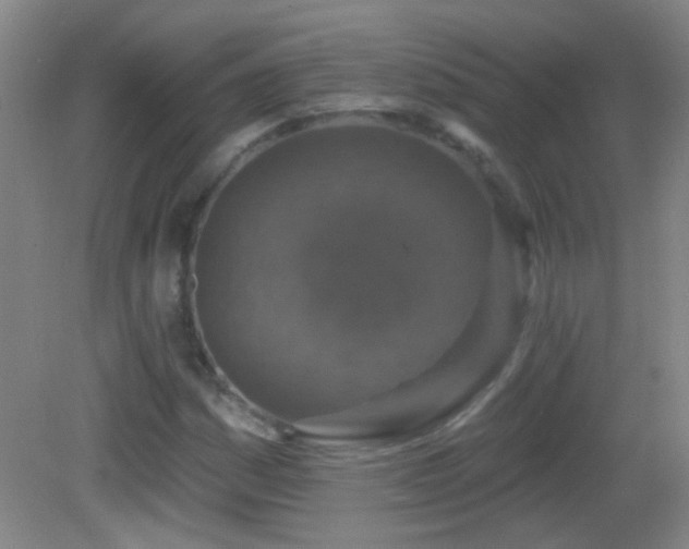 X0000082931161200702011232