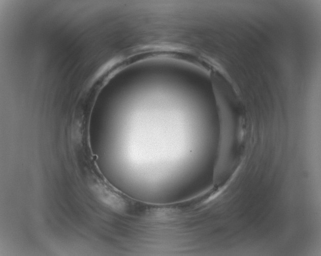 X0000082931163200702011232