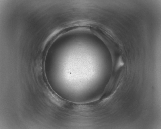 X0000082931164200702011232