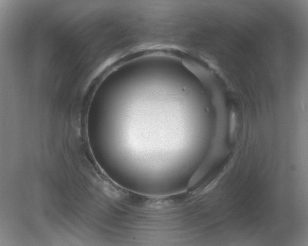 X0000082931165200702011232