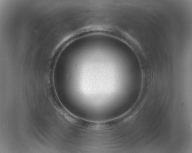 X0000082931166200702011232