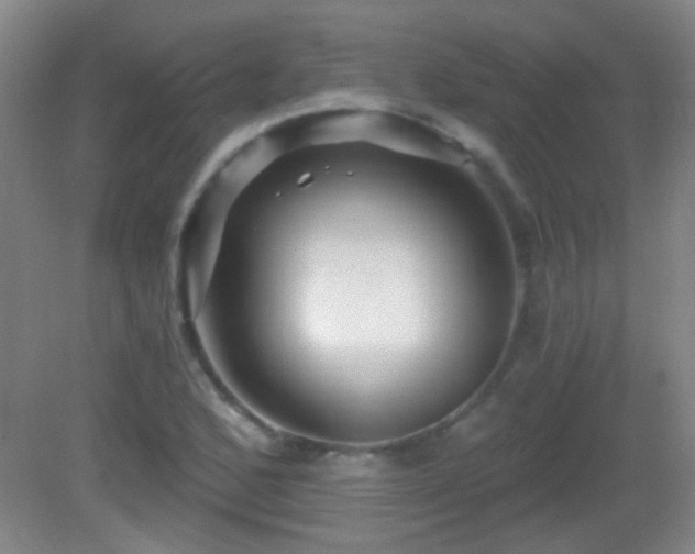 X0000082931168200702011232