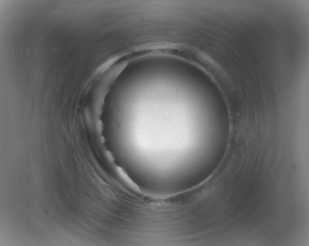 X0000082931169200702011232