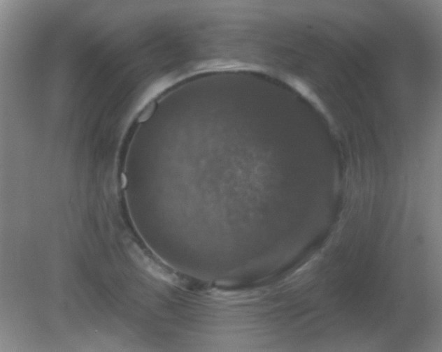 X0000082931173200702011232