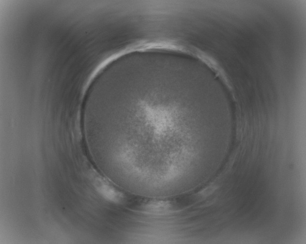 X0000082931174200702011232