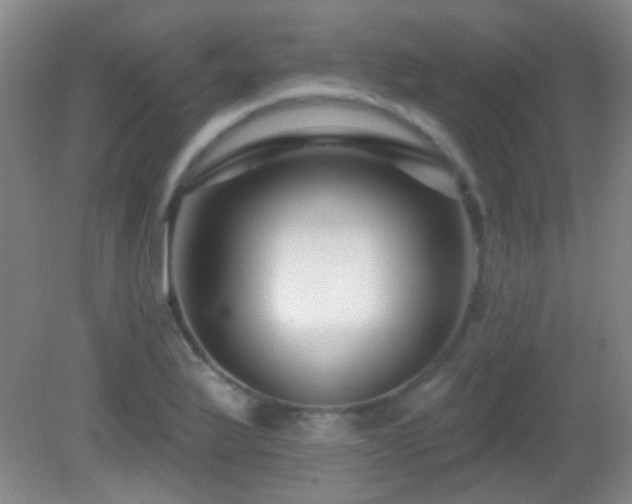 X0000082931175200702011232