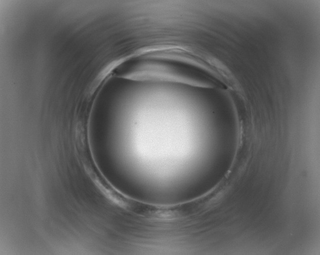 X0000082931177200702011232