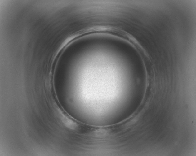 X0000082931178200702011232