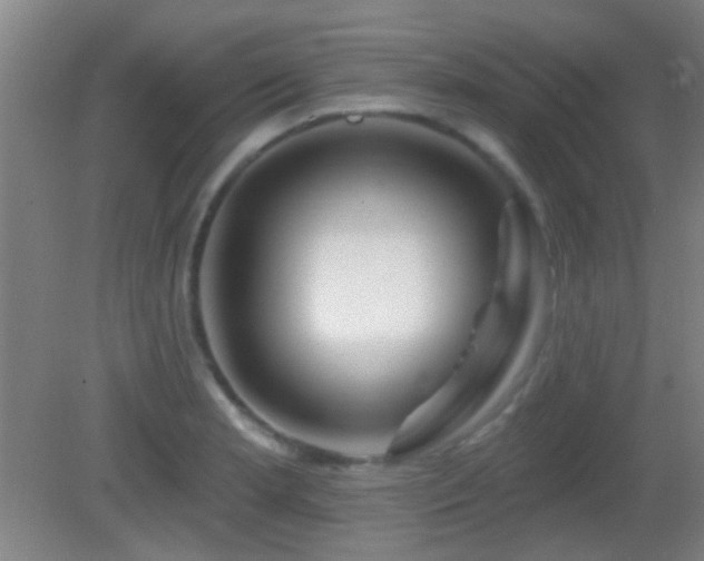 X0000082931181200702011232