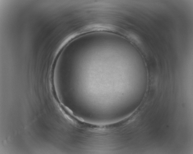 X0000082931182200702011232