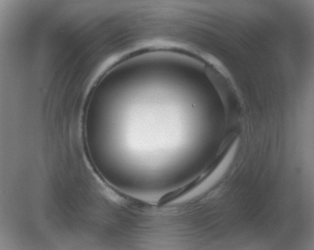 X0000082931183200702011232