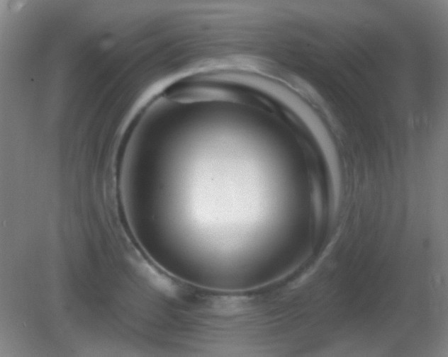 X0000082931184200702011232