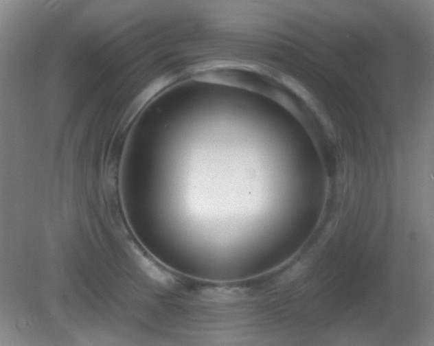 X0000082931185200702011232