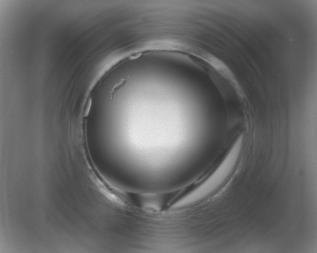 X0000082931192200702011232