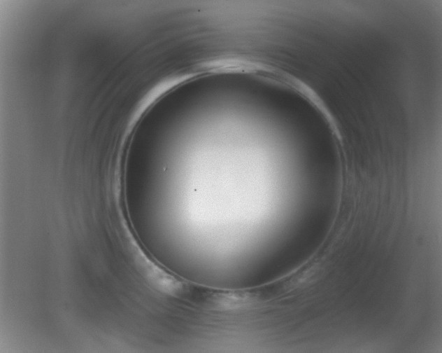 X0000082931195200702011232