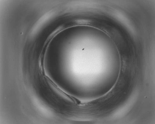 X0000082931198200702011232