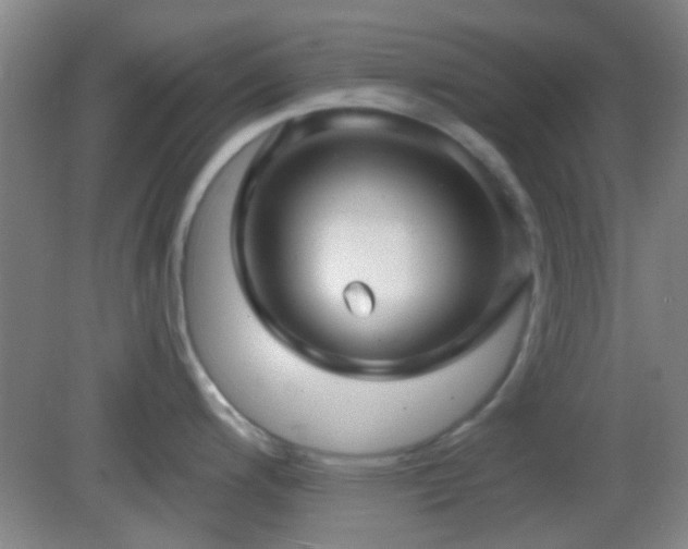 X0000082931200200702011232