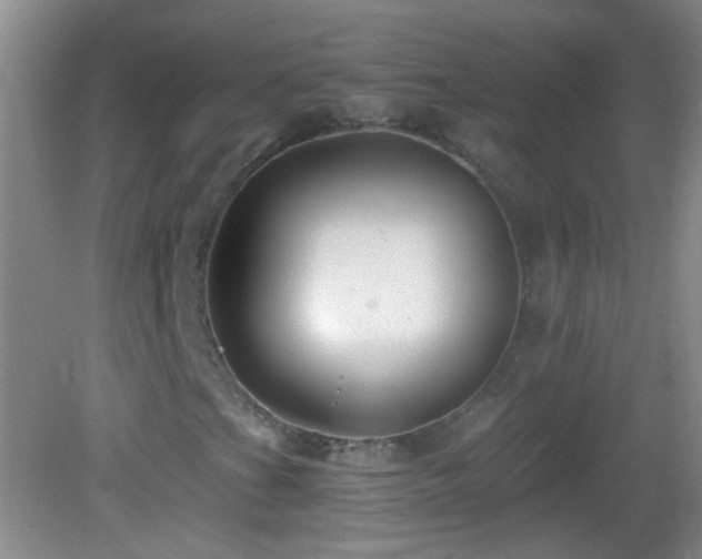 X0000082931201200702011231