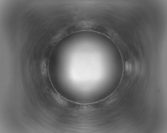 X0000082931203200702011231