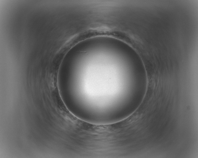 X0000082931205200702011231