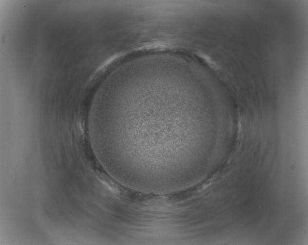 X0000082931206200702011231