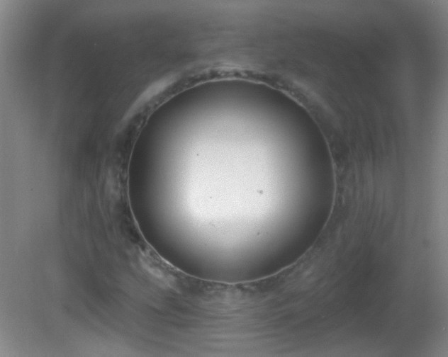 X0000082931207200702011231