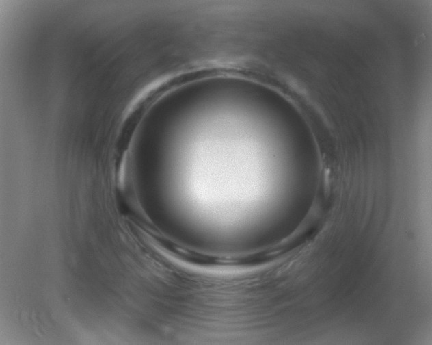 X0000082931214200702011231